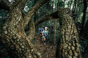 BIB: 
                            <button type="button" onclick="openModal(25392805)" class="btn btn-primary btn-sm float-right btn-popup" data-toggle="modal" data-target=".modal-high-quality">
                        <i class="fas fa-shopping-cart"></i> Add to Cart
                    </button>
                                            <button type="button" onclick="isThisMe(25392805, true)" class="btn btn-success btn-sm float-right btn-popup btn-isme hidden" data-toggle="tooltip" data-placement="bottom" title="นี่คือรูปของคุณใช่ไหม คลิกที่นี่เพื่อเอาเข้าอัลบั้ม">
                        <i class="fas fa-plus"></i> Add to album
                    </button>
                    <button type="button" onclick="isThisMe(25392805, false)" class="btn btn-warning btn-sm float-right btn-popup btn-isnotme hidden">
                        <i class="fas fa-ban"></i> Remove from album
                    </button>